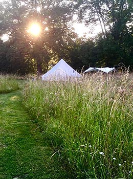 La Toile sous les Étoiles